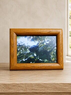 Original Signed Cat Photograph in Vintage Walnut Frame 5x7 Ready to Hang